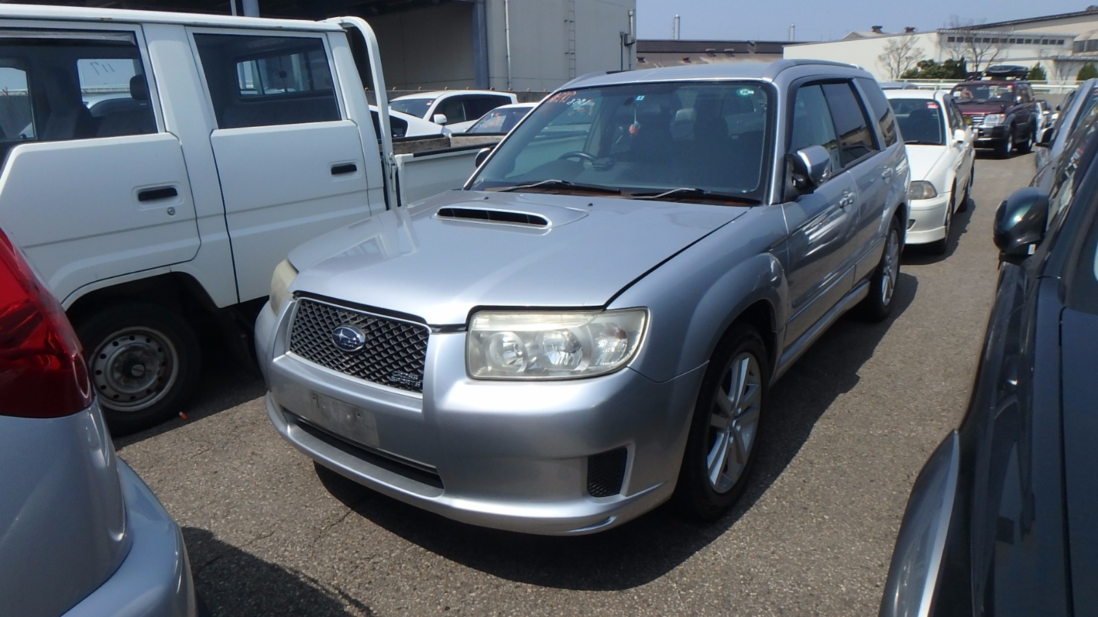 forester 1