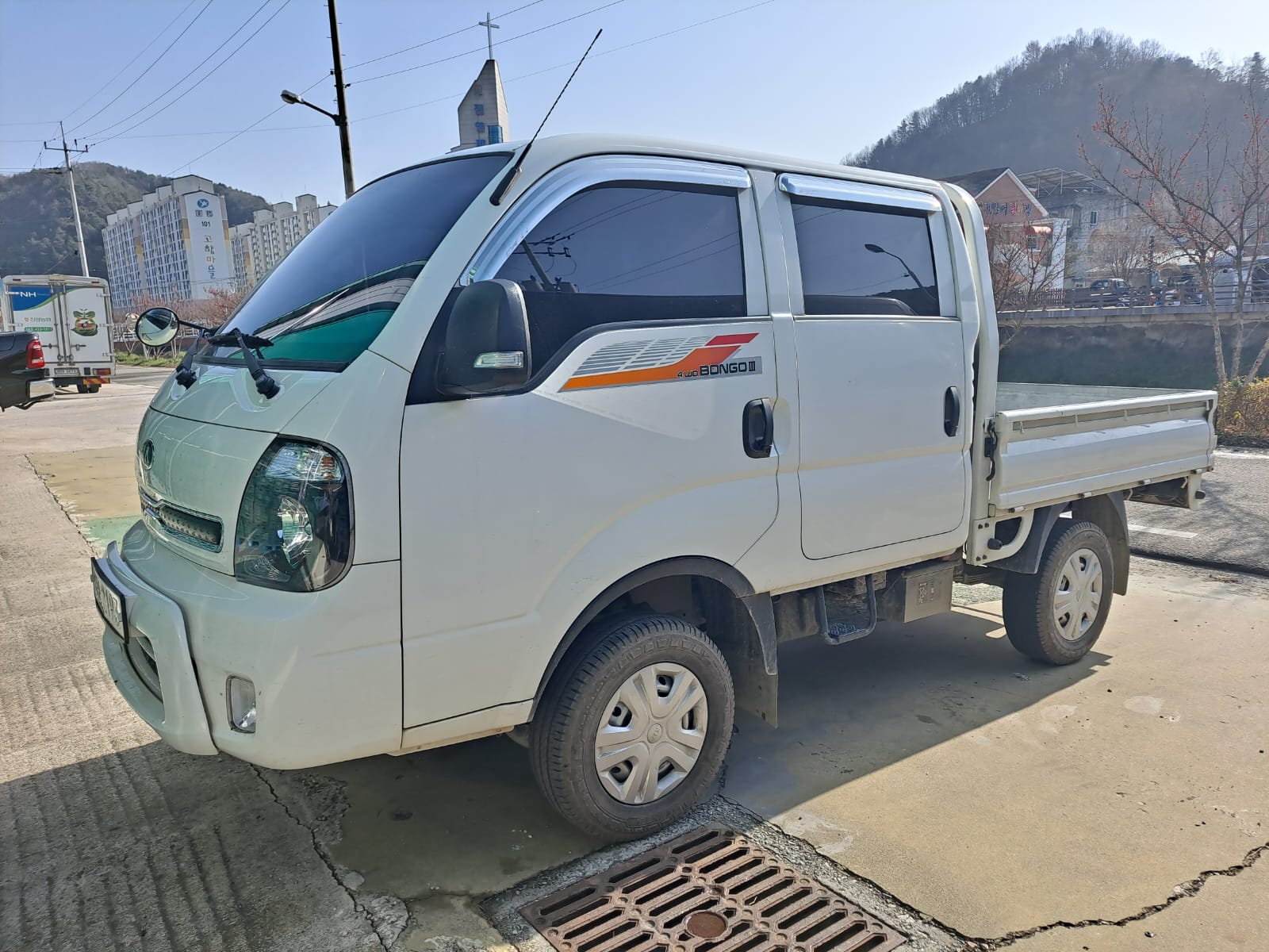bongo white